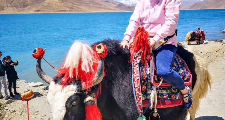 Persoon die op een yak rijdt bij een meer met bergen op de achtergrond.