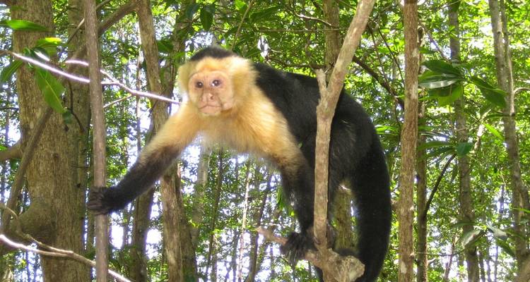 Costa Rica Adventure Family Holiday - Exodus Adventure Travels 9