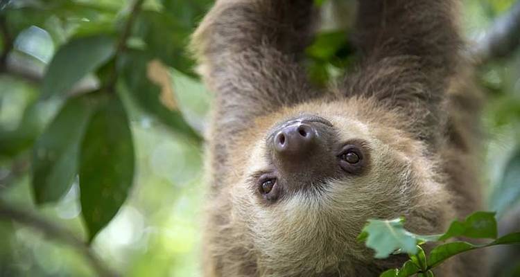 Costa Rica Adventure Family Holiday - Exodus Adventure Travels 7