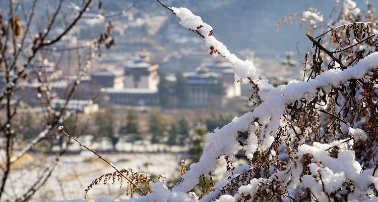 Met sneeuw bedekte takken die een verre blik op een Bhutanese stad omlijsten.