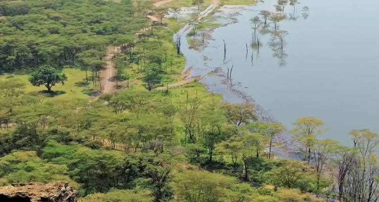 Lac entouré d'un paysage verdoyant vu d'en haut.
