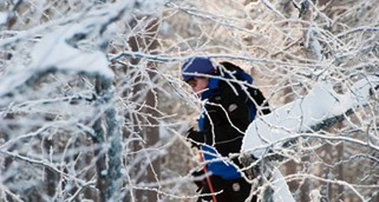 Finland Family Winter Adventure - Exodus Adventure Travels 9