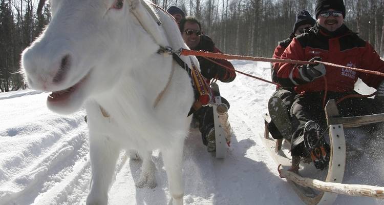 Finland Family Winter Adventure - Exodus Adventure Travels 10