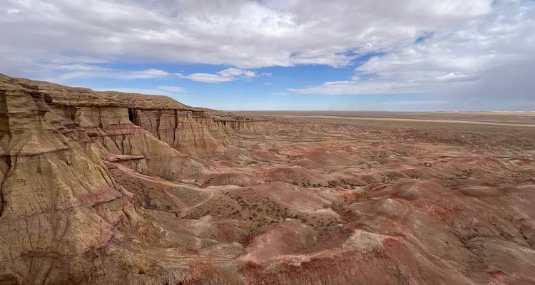 Vasta extensión de terreno desértico rocoso con patrones de erosión.