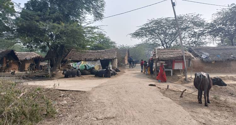 Escena de aldea con cabañas y animales de granja alrededor.