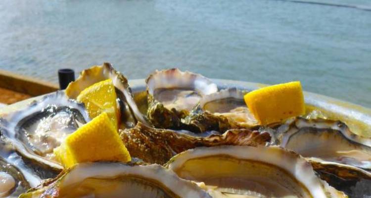 Plateau d'huîtres fraîches avec quartiers de citron dans un cadre côtier.