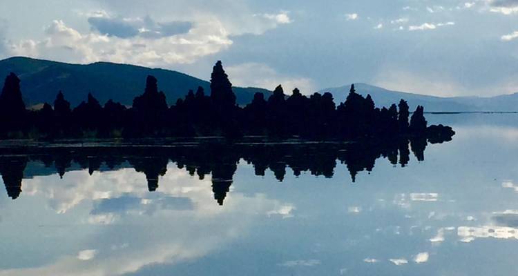 Reflet de la ligne d'arbres dentelée sur un lac calme avec des montagnes au loin.