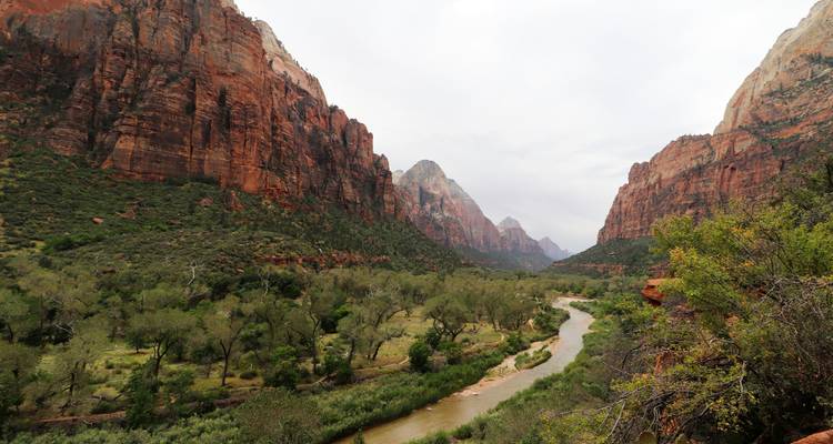 Vallée verdoyante avec rivière sinueuse encadrée par les majestueuses falaises de grès rouge du parc national de Zion.