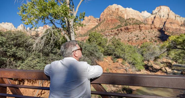 Un homme contemple les imposantes falaises de grès et le ciel bleu depuis un pont du parc national de Zion.