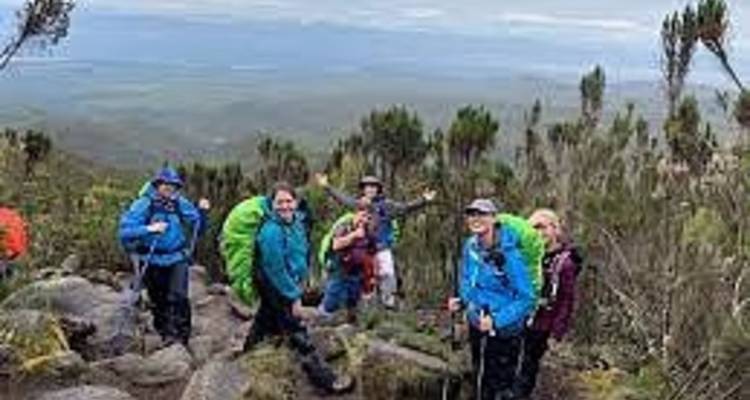 Grupo de excursionistas en un sendero de montaña con vegetación.