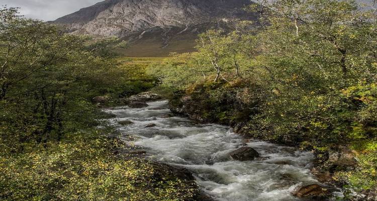 Rushing river bordered by trees and a mountain in the background.