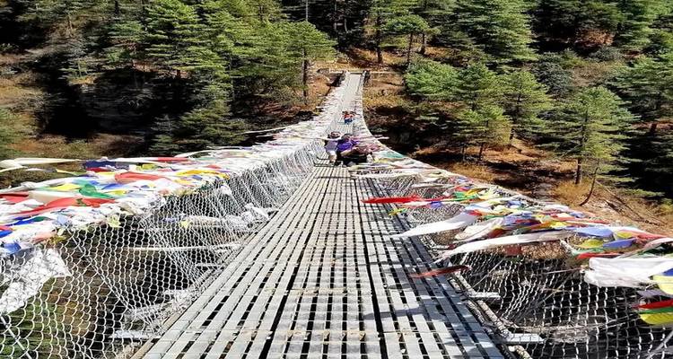 Suspension bridge with prayer flags in a wooded valley.