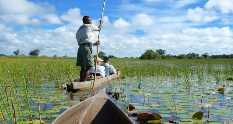 Mensen in een mokoro kano in een waterweg met riet.