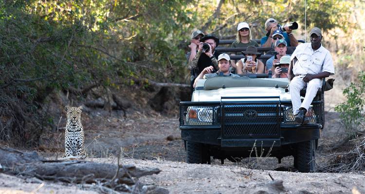 Group of tourists in a safari vehicle observing a leopard.