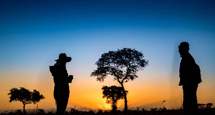 Dos personas silueteadas contra una puesta de sol con un árbol.