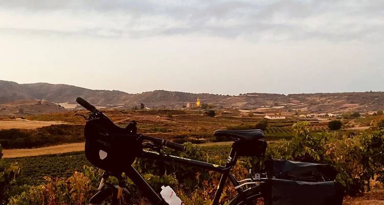 Bicicleta con alforjas contra un paisaje rural pintoresco.