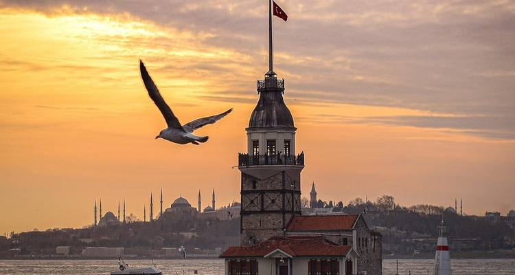Une mouette volant devant une tour au coucher du soleil, avec l'horizon d'Istanbul en arrière-plan.