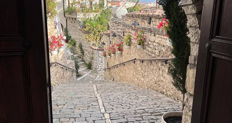 Chemin pavé avec des fleurs colorées à Berat.