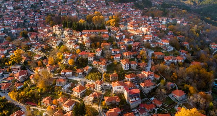 Aerial view of a village with tiled rooftops and autumn trees.