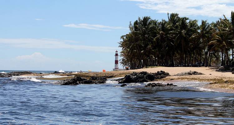 Vue sur la plage avec un phare et des palmiers sur le rivage.
