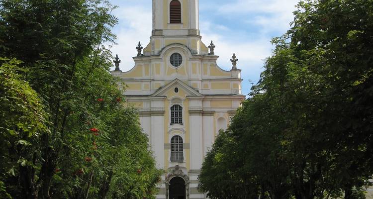 Iglesia barroca enmarcada por árboles