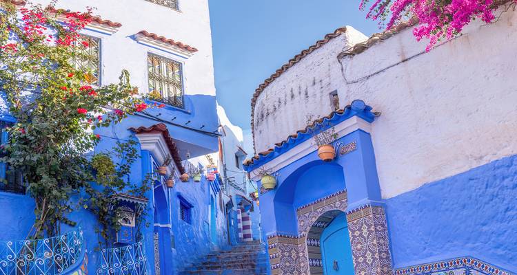 Rue pittoresque à Chefchaouen avec ses bâtiments iconiques peints en bleu et des fleurs.