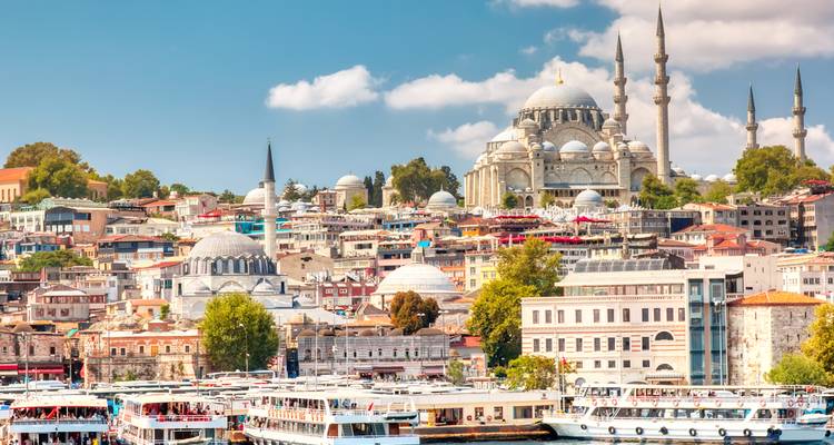Cityscape with a prominent mosque and boats.