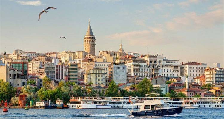 View of a cityscape with boats and seagulls.