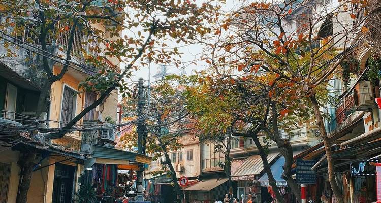 Rue animée avec des arbres et des maisons traditionnelles, des gens qui marchent.
