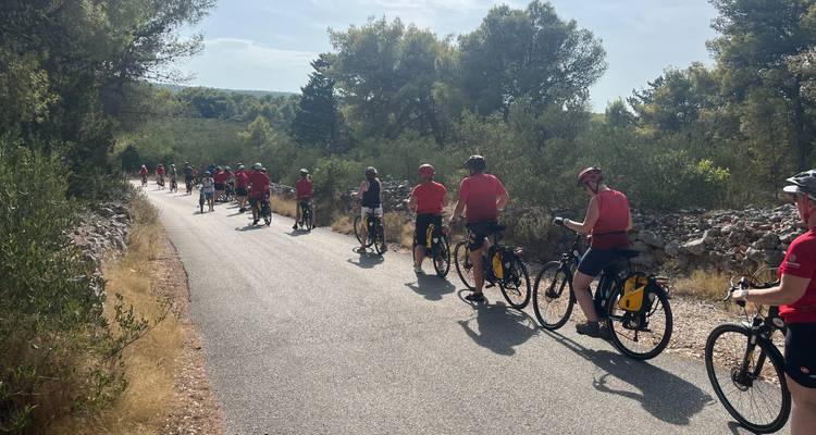 Fietsers die rijden op een schilderachtige weg omringd door groen.