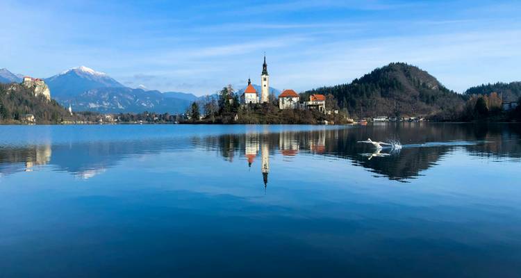 Reflectie van een kerk op het Meer van Bled met bergen op de achtergrond.
