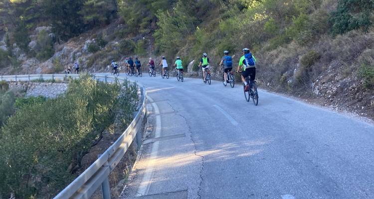 Fietsers die een slingerende bergweg beklimmen omringd door bomen.