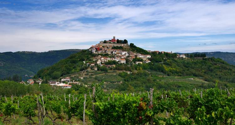 Heuveltopdorp met wijngaarden op de voorgrond onder een heldere hemel.