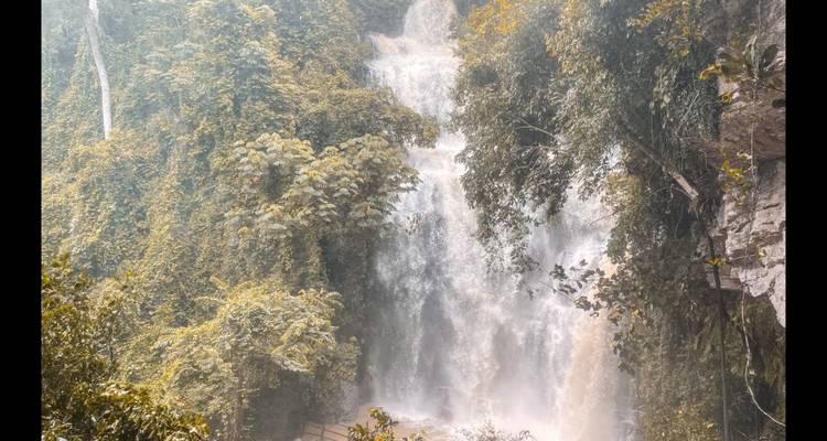 Cascada cayendo sobre rocas rodeada de vegetación exuberante.