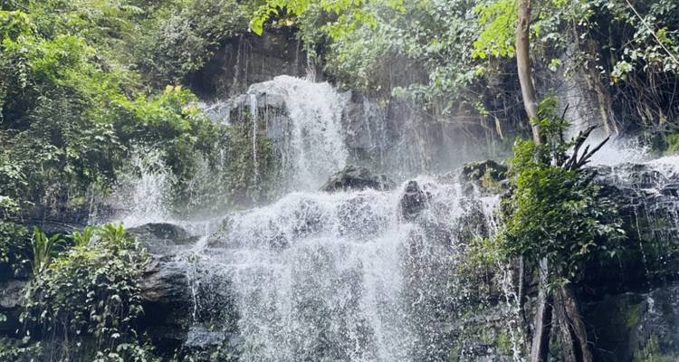 Cascada salpicando sobre las rocas entre densa vegetación.
