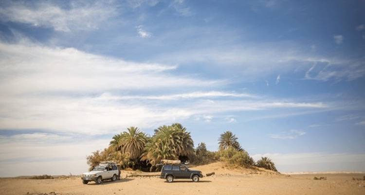 Véhicules garés sur un désert à côté d'une oasis avec des palmiers.