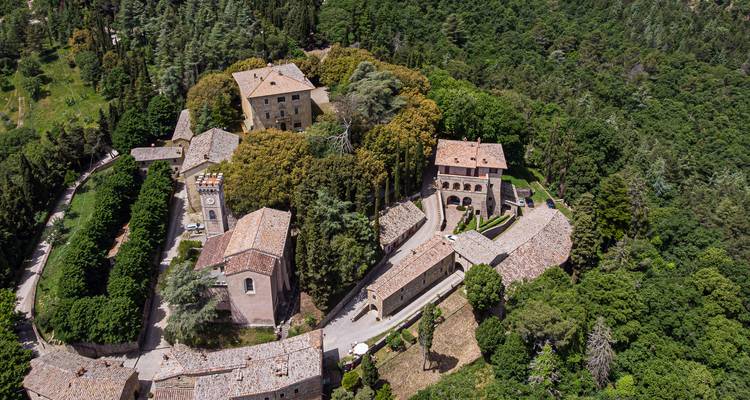 Vista aérea de edificios históricos rodeados de vegetación.