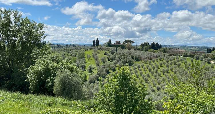 Paysage avec des collines ondulantes et des oliveraies sous un ciel bleu.