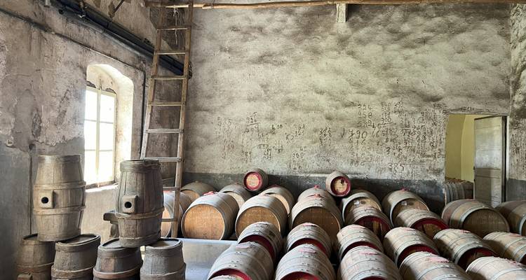 Pièce avec des tonneaux en bois et une échelle contre un mur rustique.