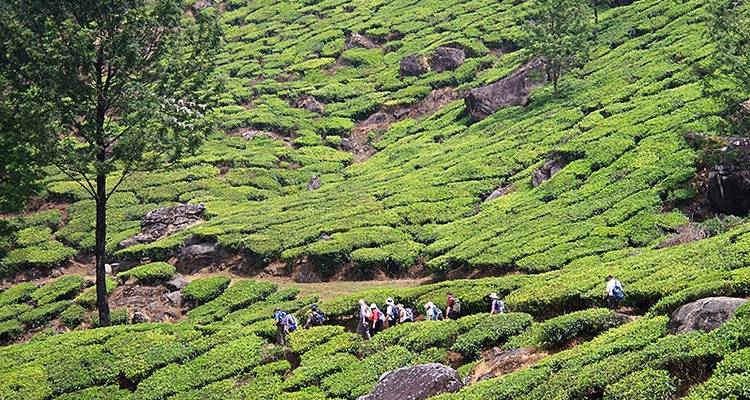 Cyclisme au Kerala et en Inde tropicale - Exodus Adventure Travels 4