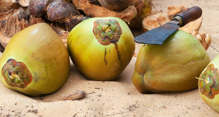 Ciclo Kerala e India tropical - Exodus Adventure Travels 10