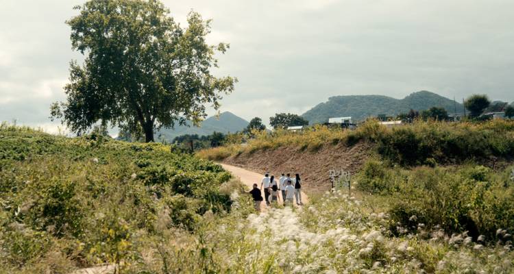 Grupo caminando por un sendero de tierra a través de un campo exuberante con colinas distantes bajo un cielo nublado