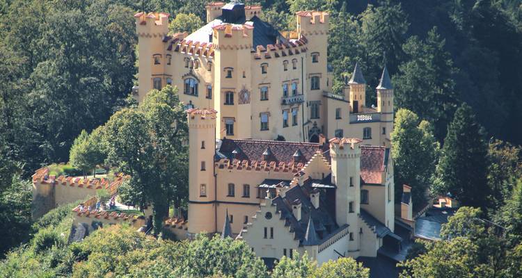 Ein historisches Schloss, umgeben von Wäldern.
