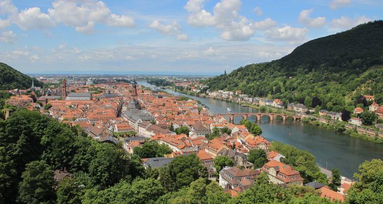Vue panoramique d'une ville historique au bord d'une rivière avec un pont.
