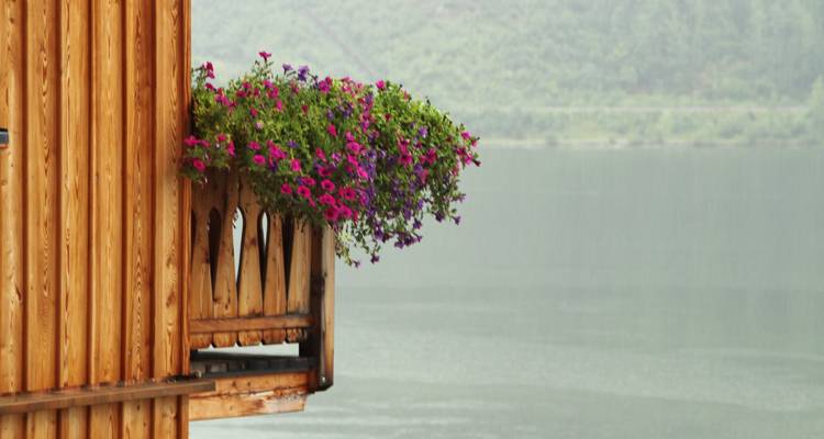 Balcon en bois avec des fleurs donnant sur un lac.