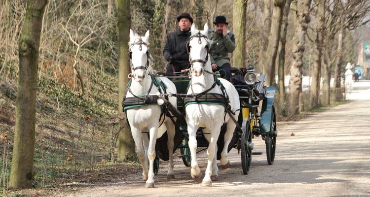 Dos caballos blancos tirando de un carruaje conducido por dos personas por un sendero del parque.