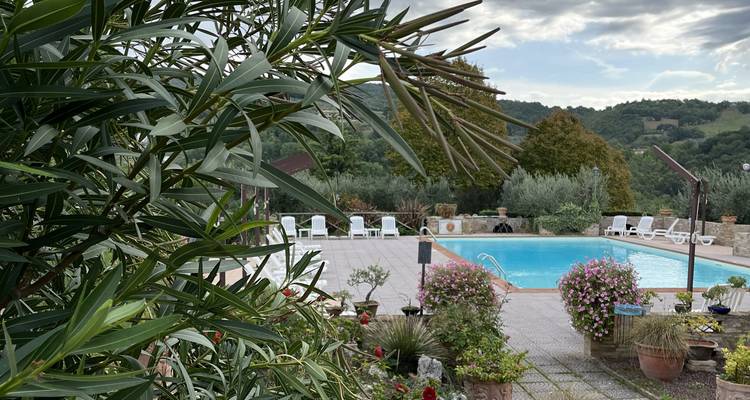 Una vista panorámica de una piscina rodeada de vegetación y sillas de exterior.