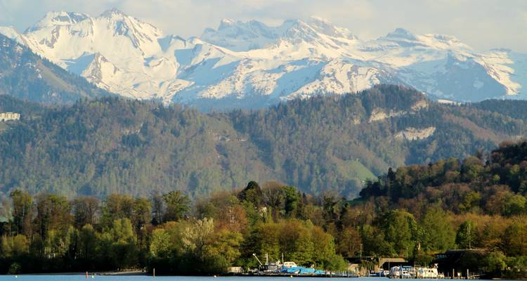 Vue sur les montagnes à travers un lac avec de la verdure au premier plan.