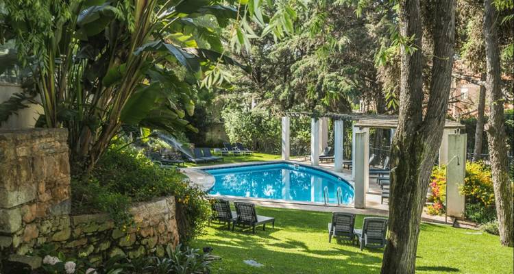Piscina al aire libre rodeada de exuberante vegetación y tumbonas.