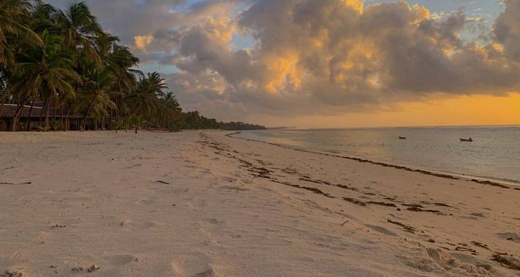 Ein ruhiger Strand mit Palmen und einem farbenfrohen Sonnenuntergang.